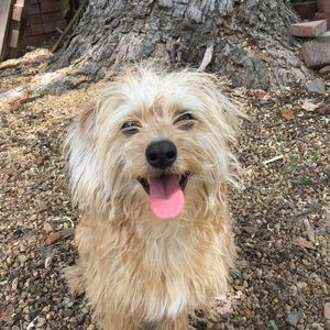 Meet your Posher, Jay